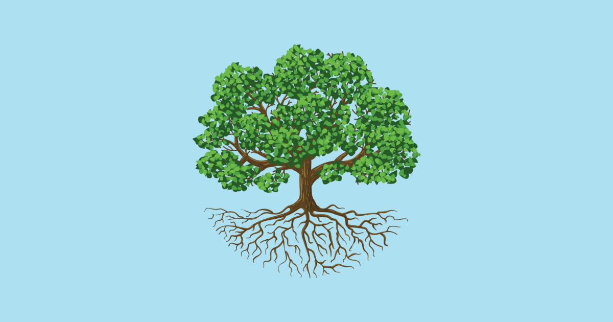 Deep Roots Strong Branches